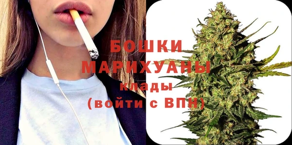 дмт Богородицк