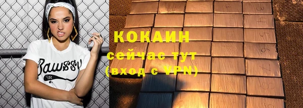 дмт Богородицк