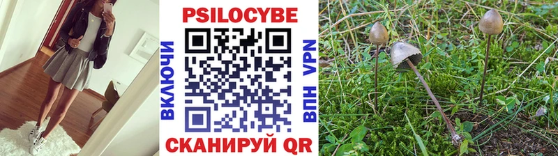 Псилоцибиновые грибы Psilocybe  купить наркоту  Горняк 